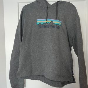 Patagonia Hoodie